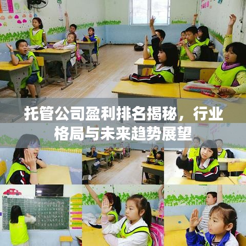 托管公司盈利排名揭秘，行业格局与未来趋势展望
