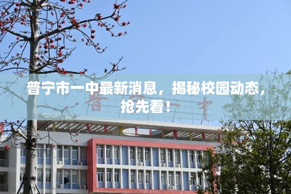 普宁市一中最新消息，揭秘校园动态，抢先看！