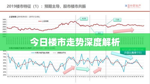 今日楼市走势深度解析