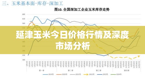 延津玉米今日价格行情及深度市场分析