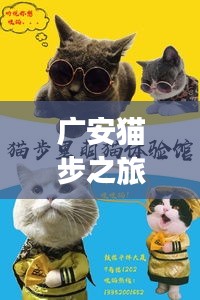 广安猫步之旅，深度探索的猫趣天堂！