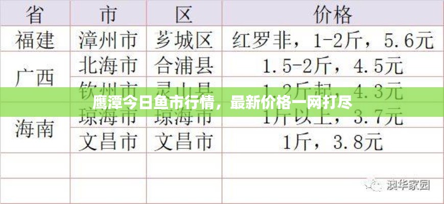 鹰潭今日鱼市行情，最新价格一网打尽