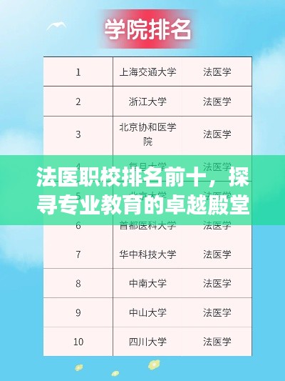 法医职校排名前十，探寻专业教育的卓越殿堂