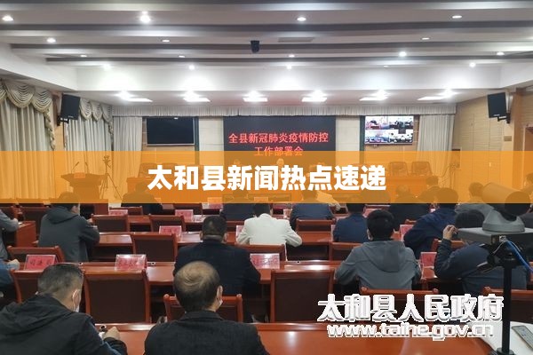 太和县新闻热点速递