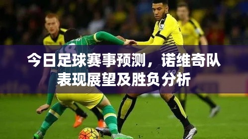 今日足球赛事预测，诺维奇队表现展望及胜负分析