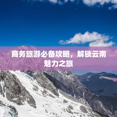 商务合作 第51页