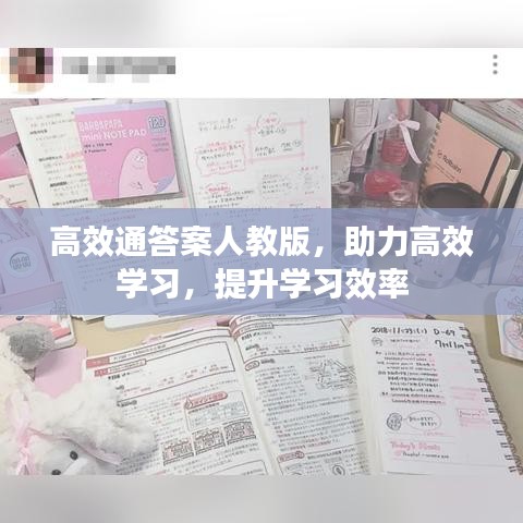 高效通答案人教版，助力高效学习，提升学习效率