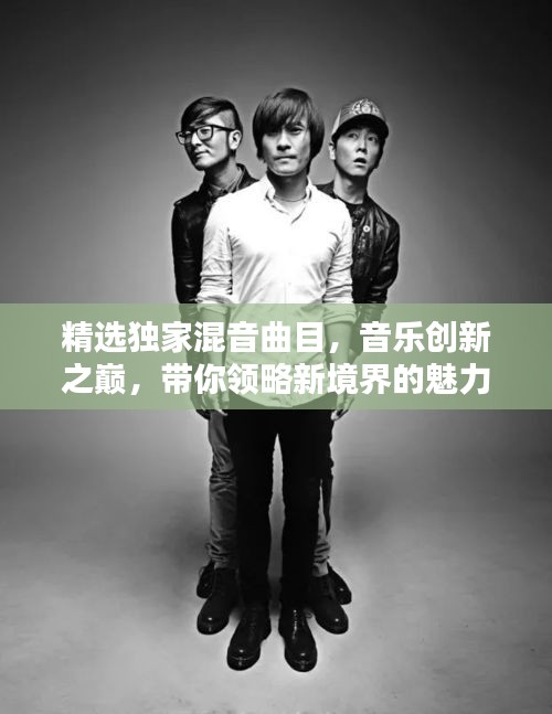 精选独家混音曲目，音乐创新之巅，带你领略新境界的魅力