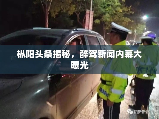 枞阳头条揭秘，醉驾新闻内幕大曝光