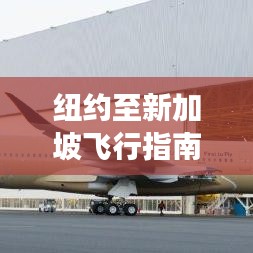 纽约至新加坡飞行指南，完美旅行攻略
