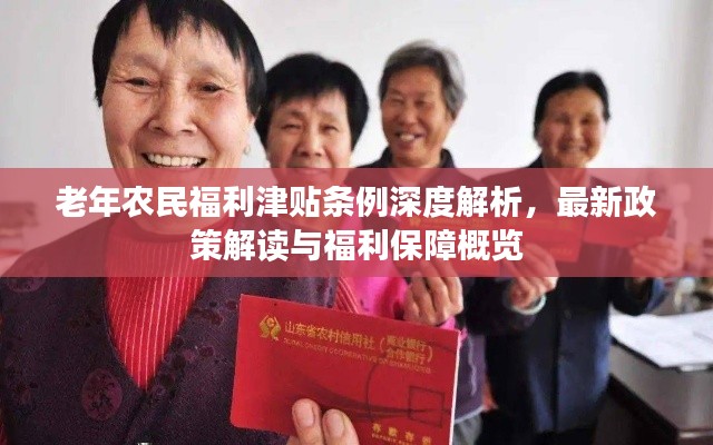 老年农民福利津贴条例深度解析，最新政策解读与福利保障概览