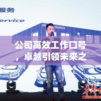 公司高效工作口号，卓越引领未来之路