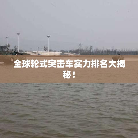 全球轮式突击车实力排名大揭秘！
