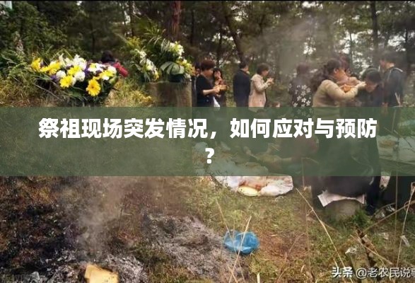祭祖现场突发情况，如何应对与预防？