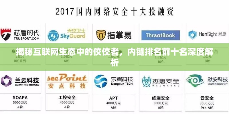 揭秘互联网生态中的佼佼者，内链排名前十名深度解析