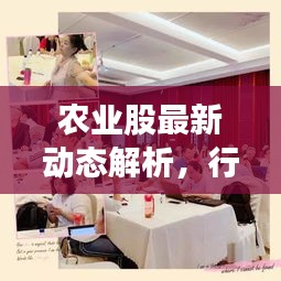 农业股最新动态解析，行业趋势与市场走势深度剖析