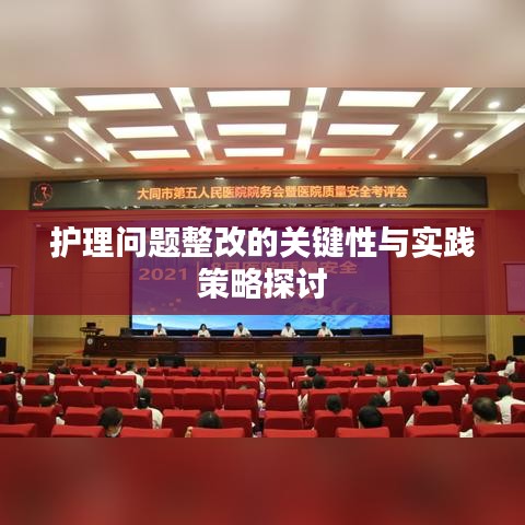 护理问题整改的关键性与实践策略探讨