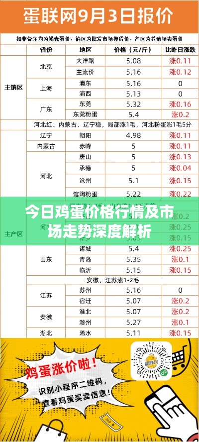 今日鸡蛋价格行情及市场走势深度解析