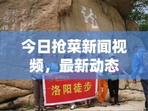 今日抢菜新闻视频，最新动态一网打尽