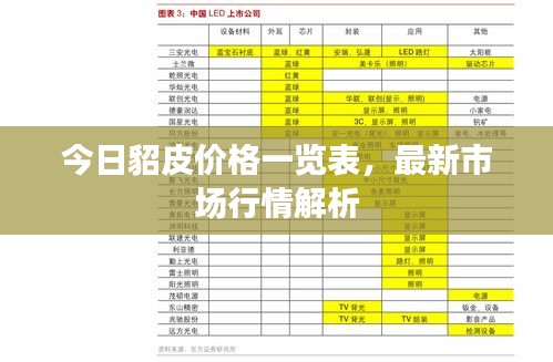 今日貂皮价格一览表，最新市场行情解析