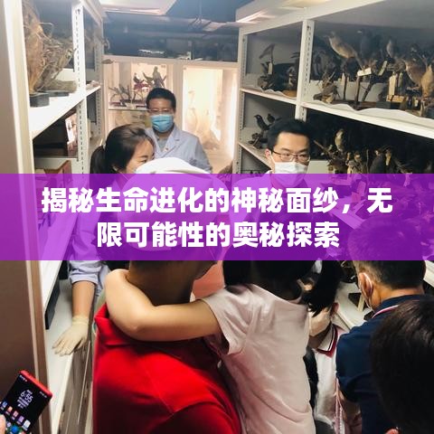 揭秘生命进化的神秘面纱，无限可能性的奥秘探索