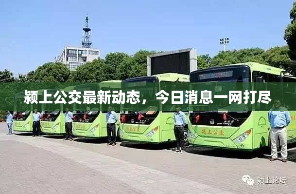 颍上公交最新动态，今日消息一网打尽