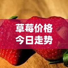 草莓价格今日走势，最新行情速览
