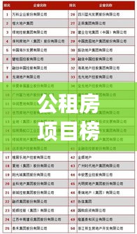 公租房项目榜单揭晓，解读十大优质公共住房工程！