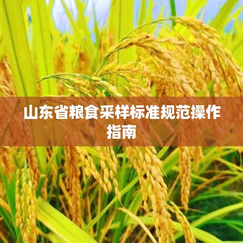 矫枉过正