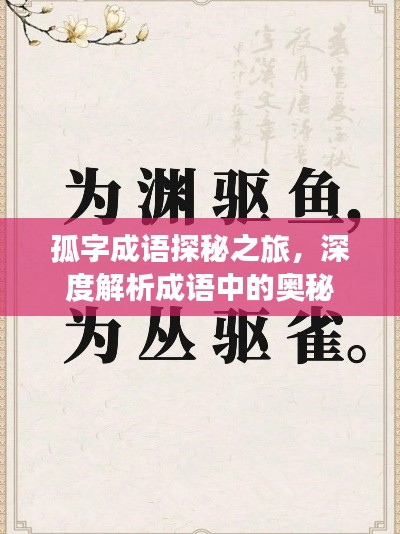 孤字成语探秘之旅，深度解析成语中的奥秘