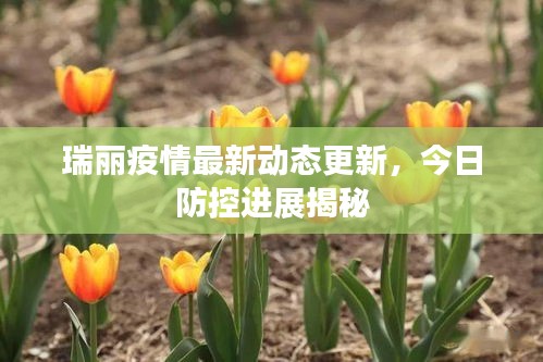 瑞丽疫情最新动态更新，今日防控进展揭秘