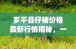 张敞画眉