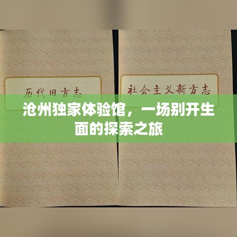 沧州独家体验馆，一场别开生面的探索之旅