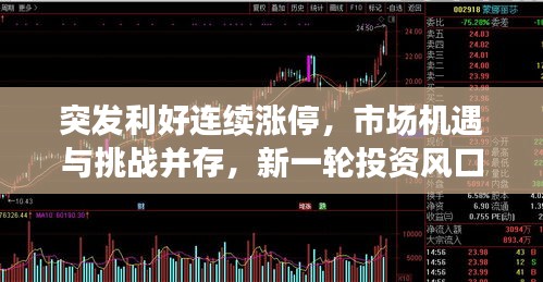 突发利好连续涨停，市场机遇与挑战并存，新一轮投资风口来临！