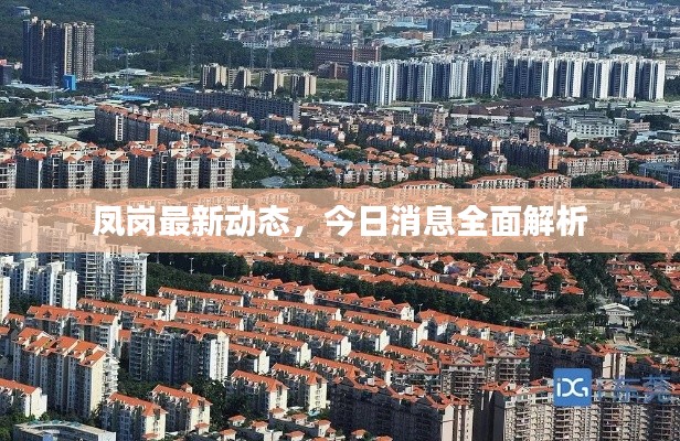 凤岗最新动态，今日消息全面解析