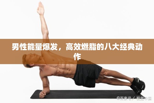 男性能量爆发，高效燃脂的八大经典动作