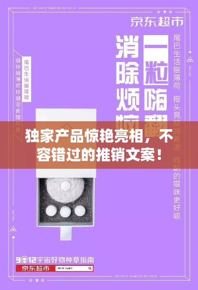 独家产品惊艳亮相，不容错过的推销文案！