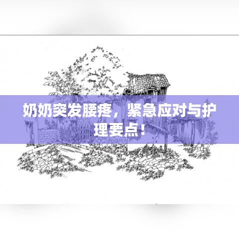 奶奶突发腰疼，紧急应对与护理要点！