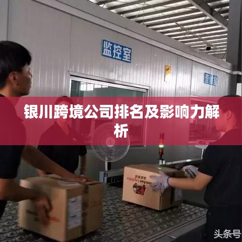 银川跨境公司排名及影响力解析