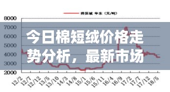 今日棉短绒价格走势分析，最新市场动态揭秘
