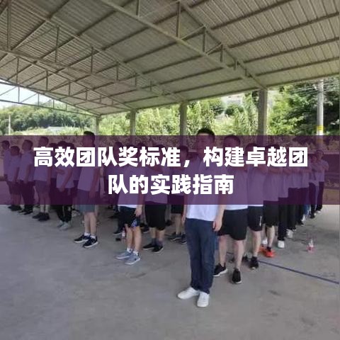 高效团队奖标准，构建卓越团队的实践指南
