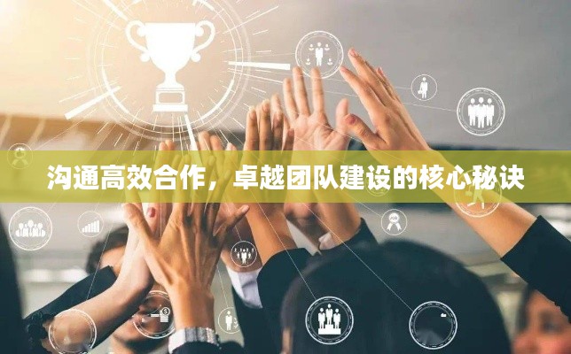 沟通高效合作，卓越团队建设的核心秘诀