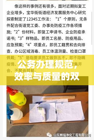 公务办理规范，效率与质量的双重保障之道