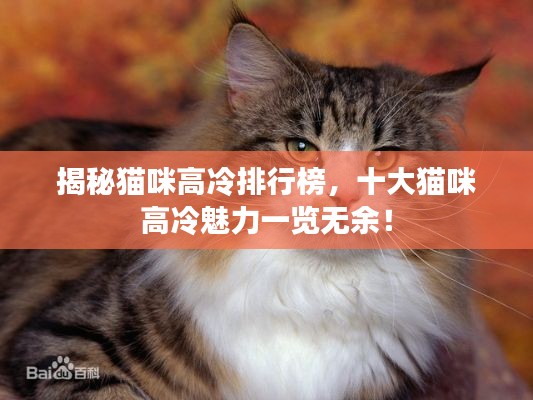 孜孜不倦