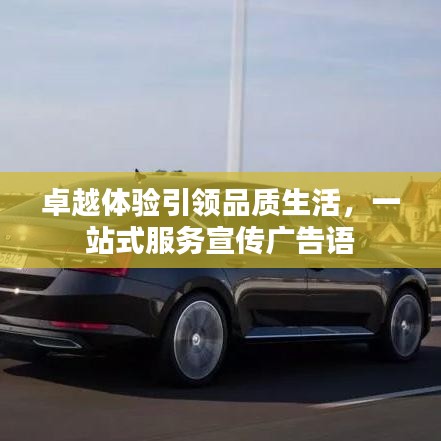 卓越体验引领品质生活，一站式服务宣传广告语