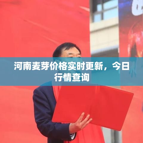 河南麦芽价格实时更新，今日行情查询