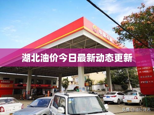 湖北油价今日最新动态更新