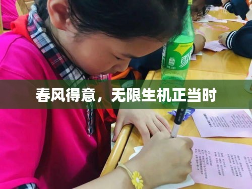春风得意，无限生机正当时