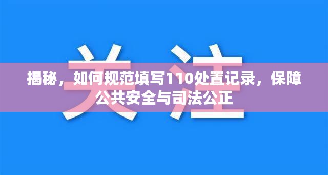 揭秘，如何规范填写110处置记录，保障公共安全与司法公正