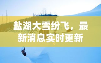 盐湖大雪纷飞，最新消息实时更新